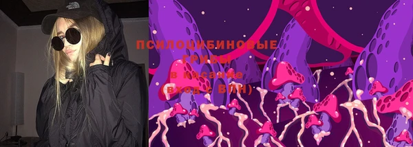 мдпв Вязники