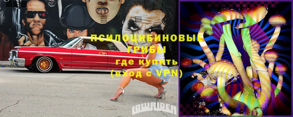 прущая мука Вяземский