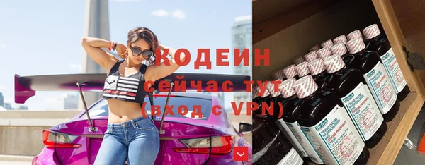 прущая мука Вяземский