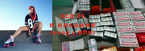 прущая мука Вяземский