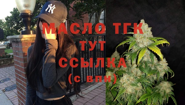 сатива Горняк